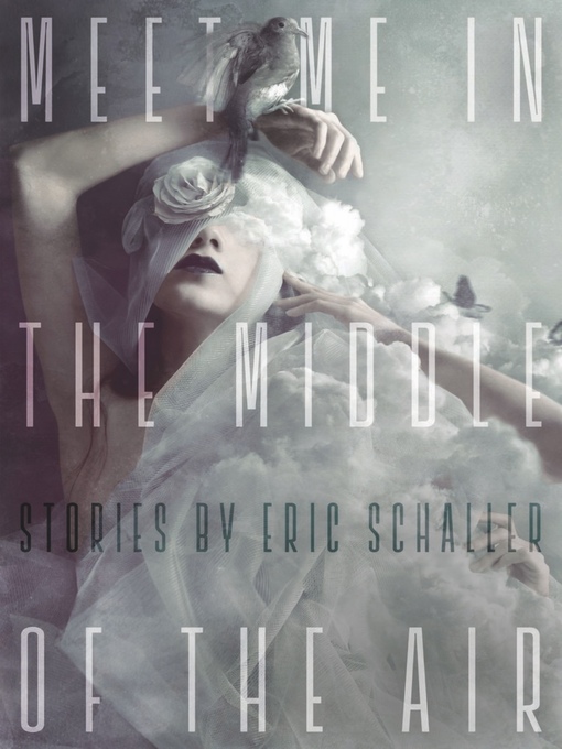 Cover image for Meet Me in the Middle of the Air
